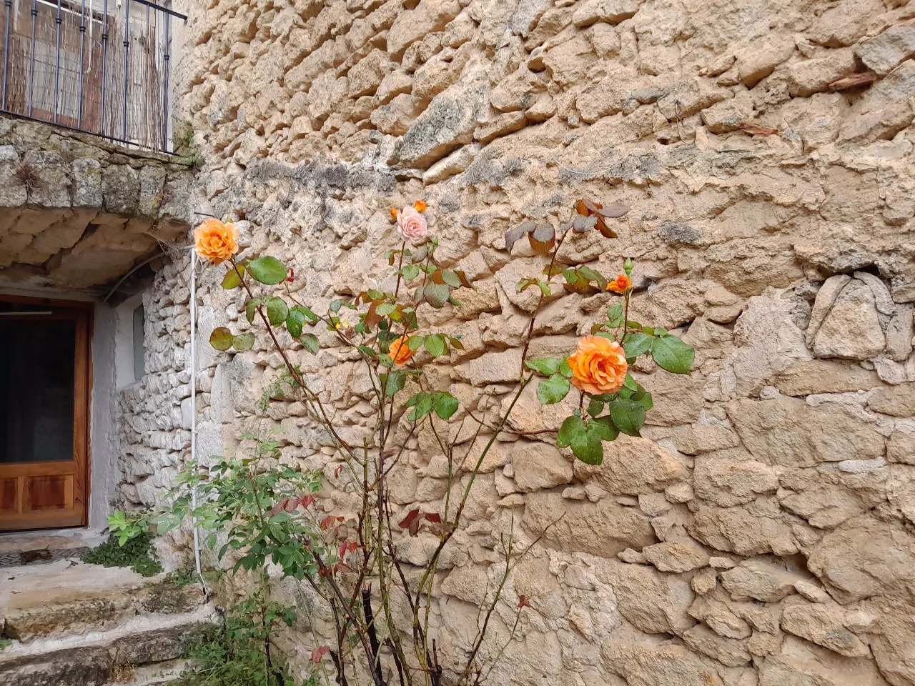 Chantebelle à Sivergues, photo 3
