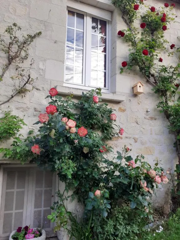 Esprit Troglo à Beaumont-en-Véron, photo 3