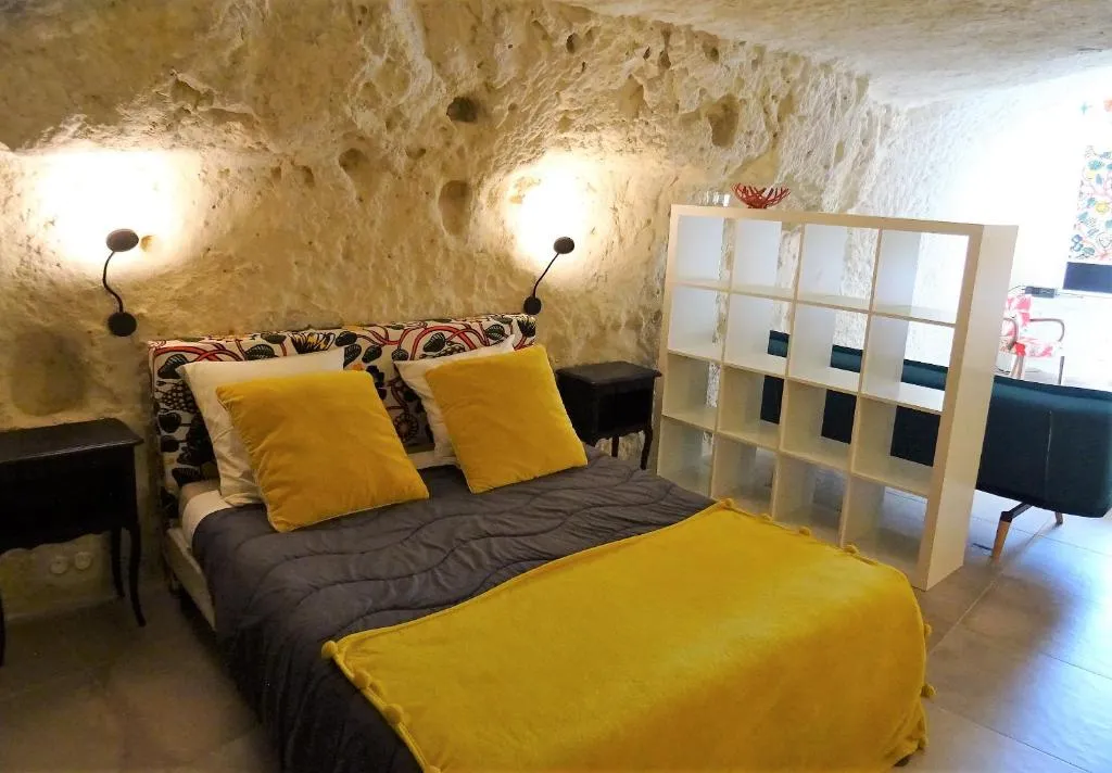 Gîte de Loup-Terre à Tours, photo 2