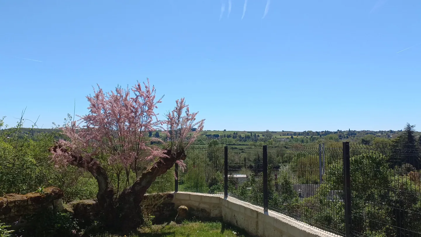 La Troglo aux Oiseaux à Montrichard Val de Cher, photo 7