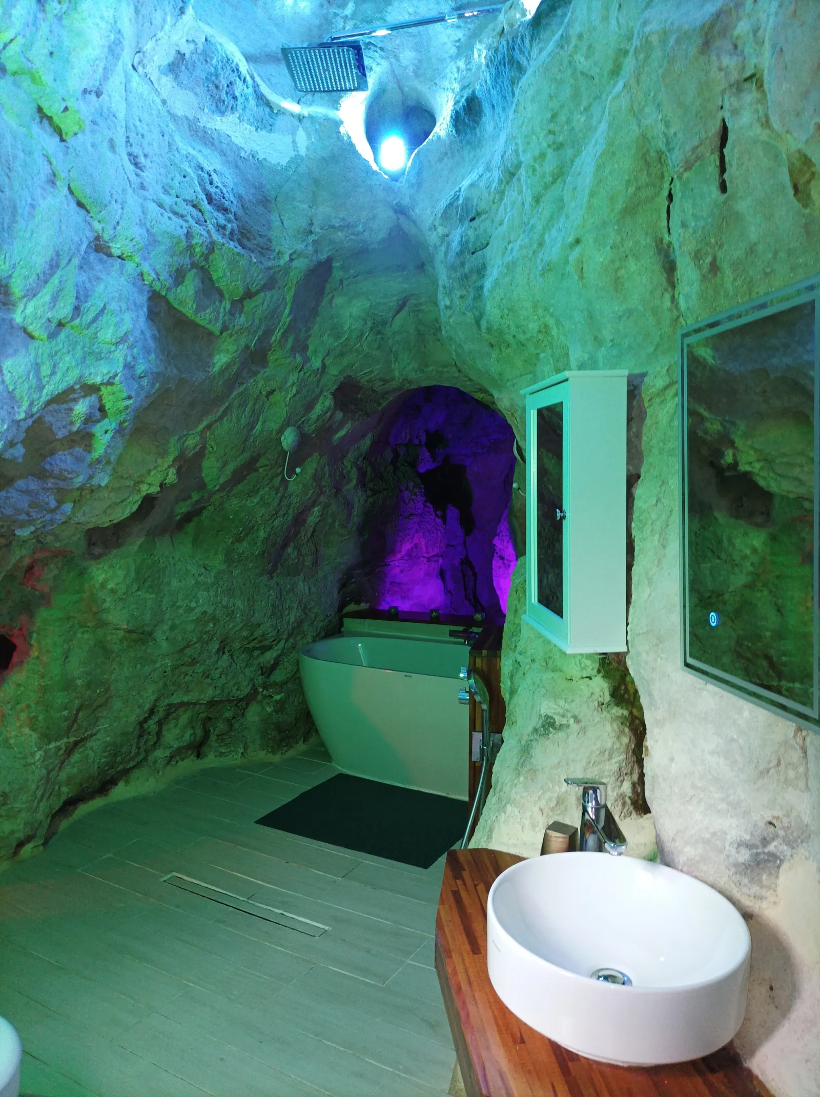 Le Troglodyte du Logis de Chalons à Domme, photo 6