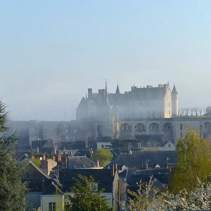 Les Terrasses Royales à Amboise, photo 3