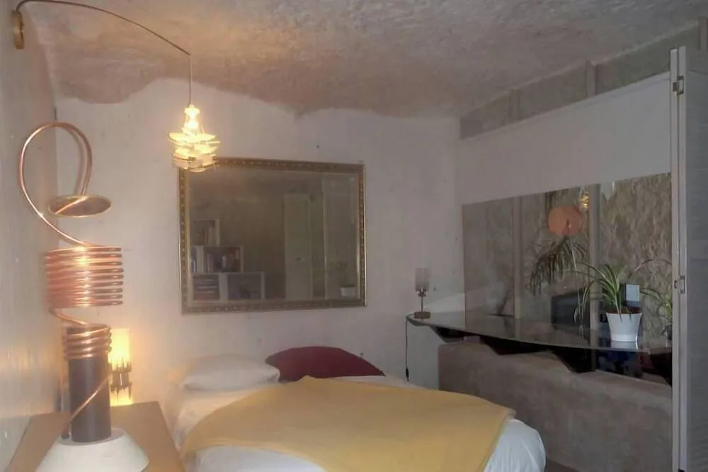 Maison troglodyte contemporaine à Berthenay, photo 3