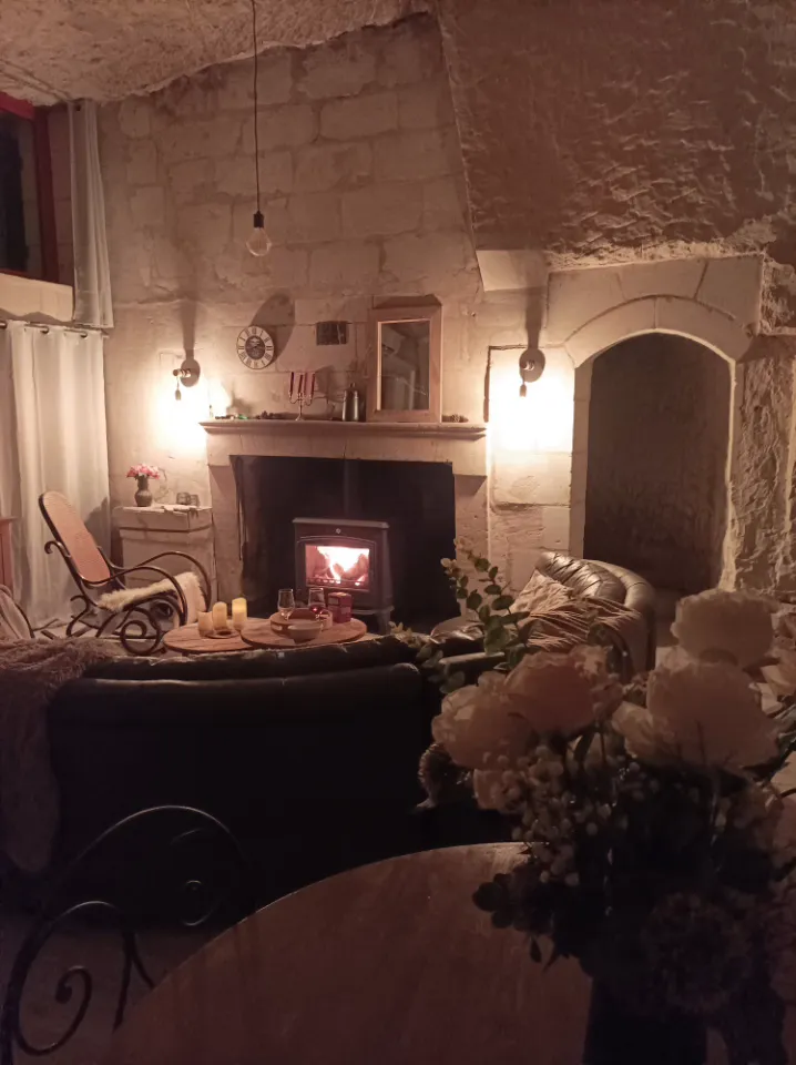 Maison troglodyte vue sur Loire à Montsoreau, photo 2