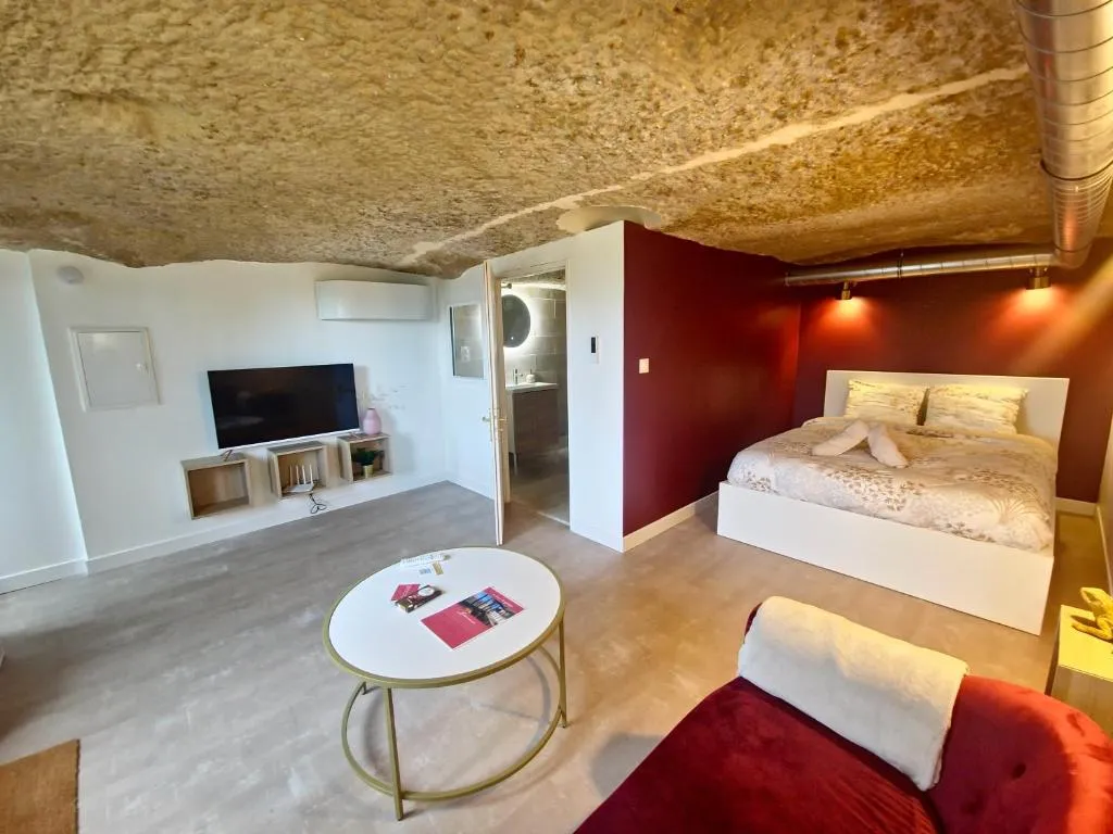 Troglodyte Nest, gîte troglodyte à Saint-Étienne-de-Chigny